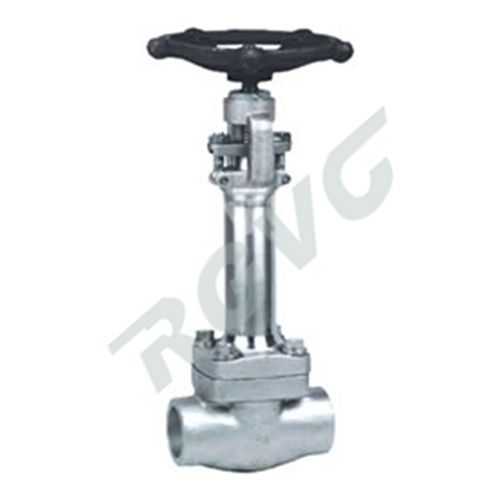 DZ11H、DZ11Y 150-800Lb鍛鋼低溫閘閥